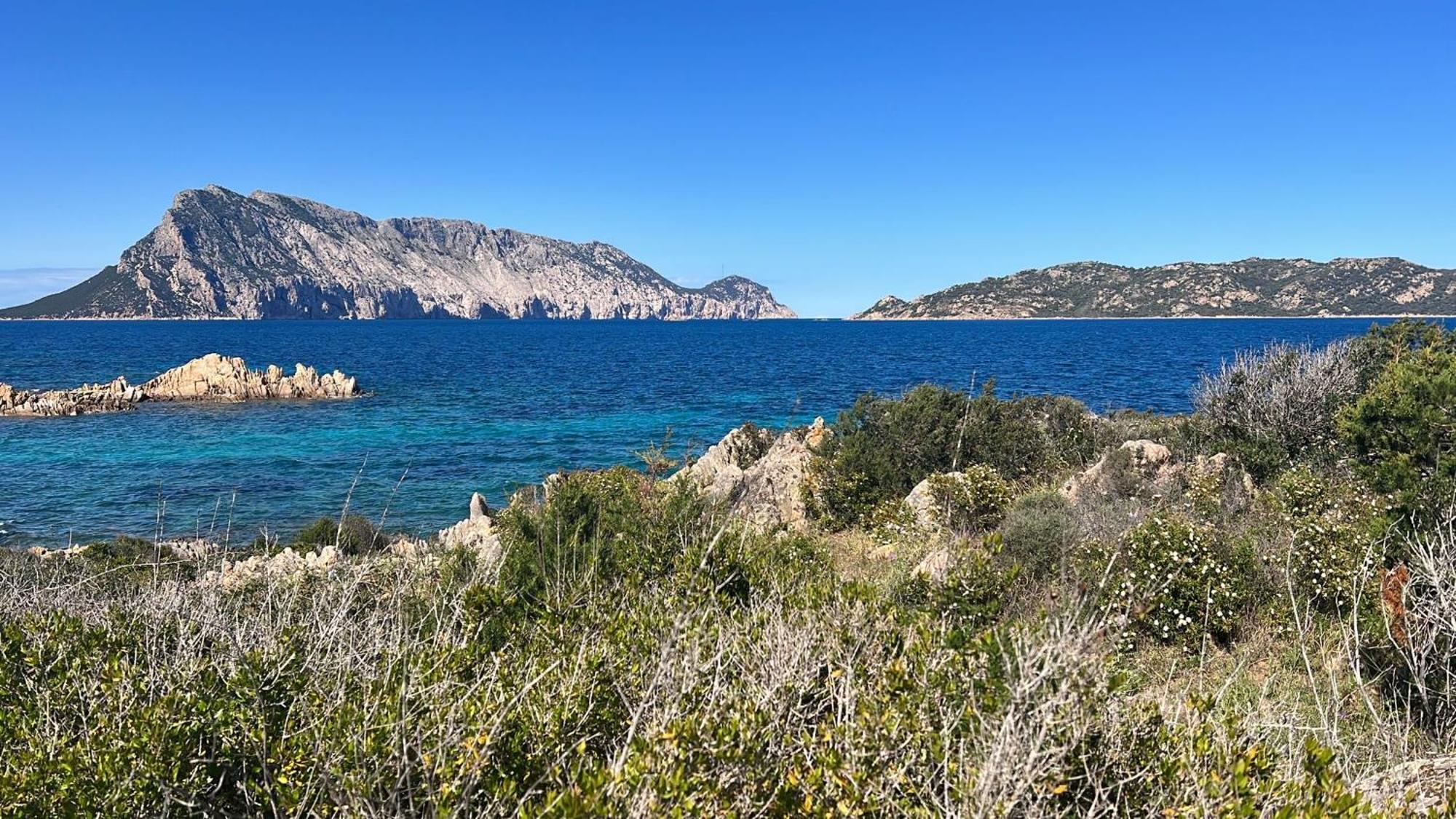 Appartamento Da Wanna Olbia Exterior photo